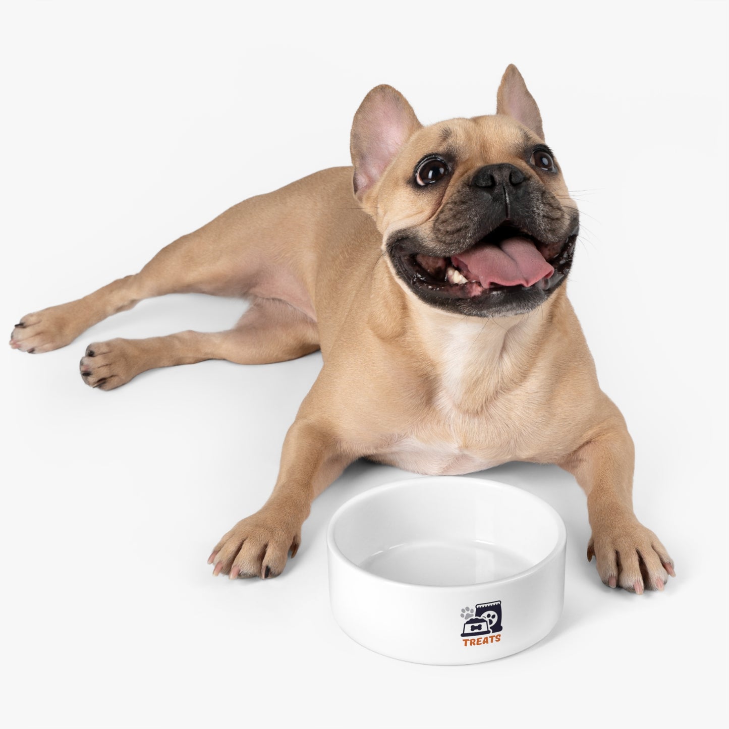 Blue Treats Pet Bowl
