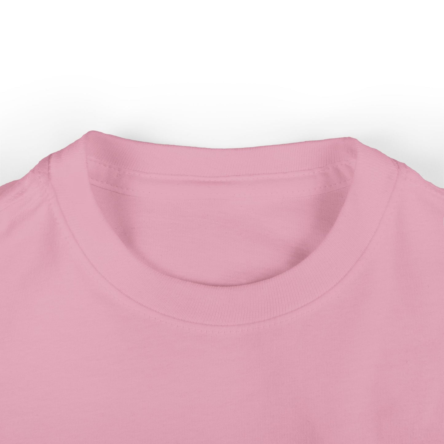 Little Ladybug Infant Toddler T-shirt