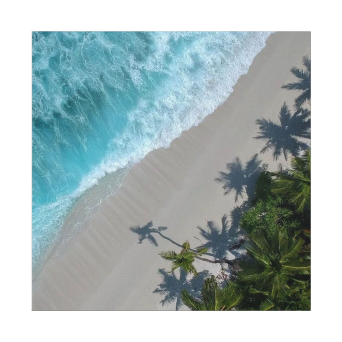 Paradise Cove Matte Stretched Canvas