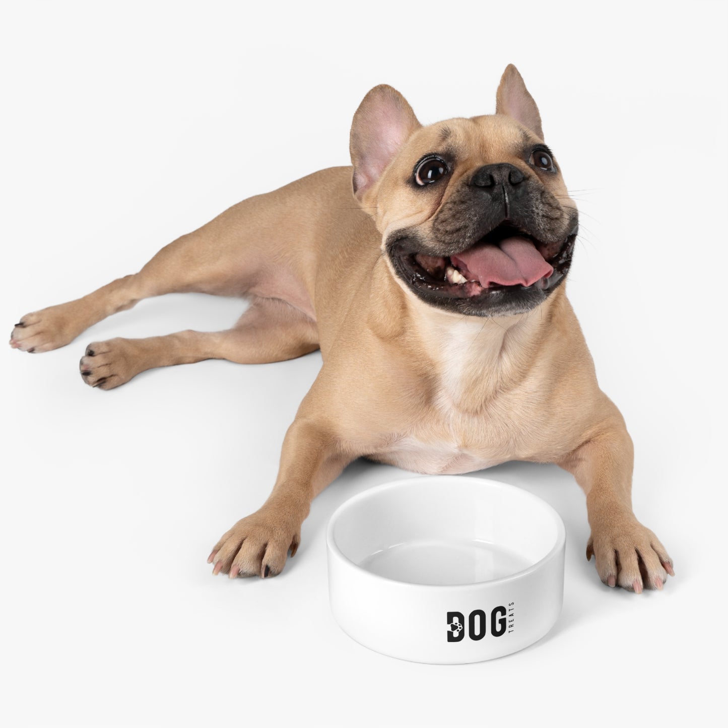 Dog Treats Pet Bowl