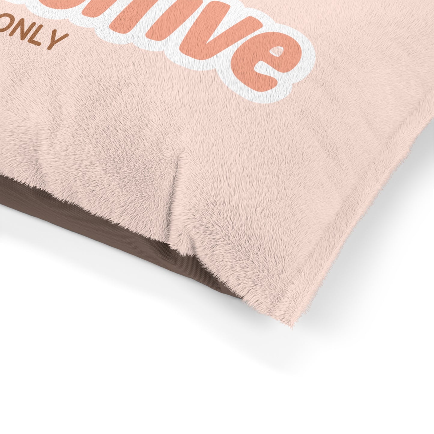Pawsitive Vibes Only Pet Bed