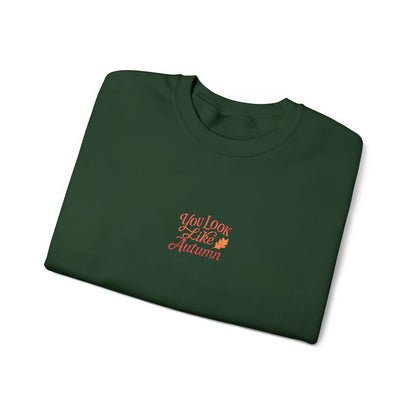 You Look Like Autumn Embroidered Crewneck Sweatshirt