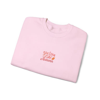 You Look Like Autumn Embroidered Crewneck Sweatshirt