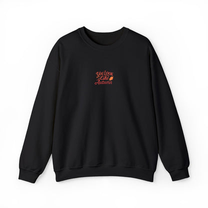 You Look Like Autumn Embroidered Crewneck Sweatshirt