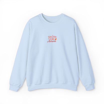 You Look Like Autumn Embroidered Crewneck Sweatshirt