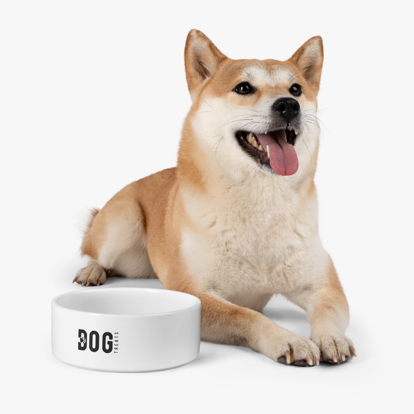 Dog Treats Pet Bowl