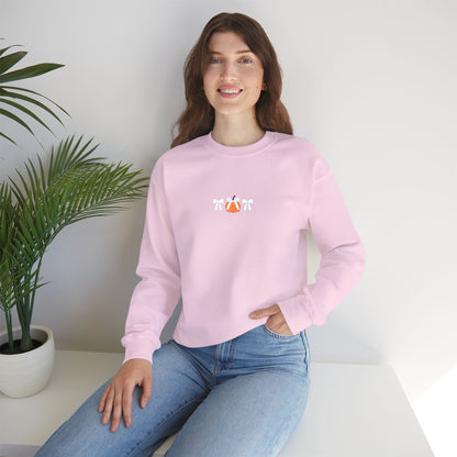 Coquette Pumpkin Embroidered Crewneck Sweatshirt