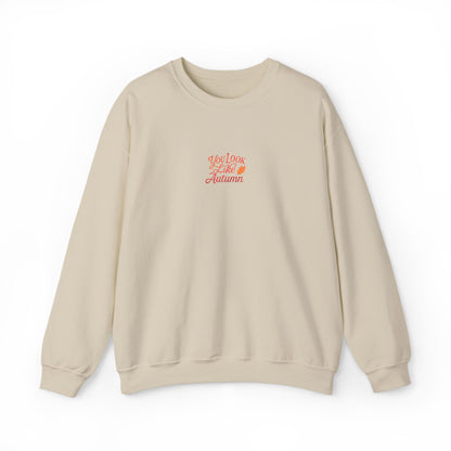 You Look Like Autumn Embroidered Crewneck Sweatshirt