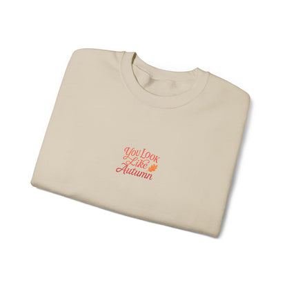 You Look Like Autumn Embroidered Crewneck Sweatshirt