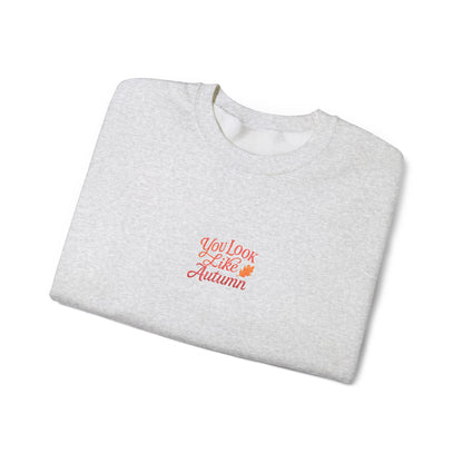 You Look Like Autumn Embroidered Crewneck Sweatshirt
